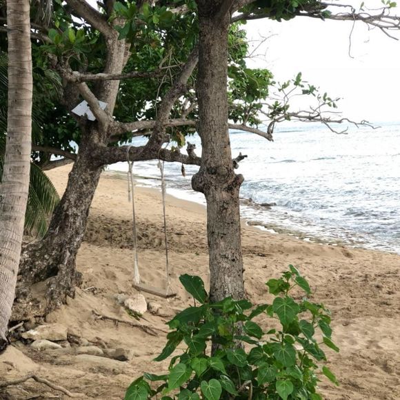 Meet your Posher, Felix - Picture 1 of 1